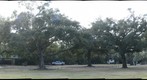 More oak trees at the Audubon Zoo, New Orleans