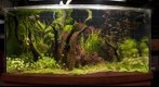 2009-03-08 Aquamart Tank 3
