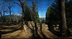 Castle Crag and Trees (l7)