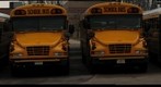School Buses