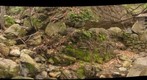 cabin creek