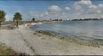 Davis Island Dog Beach- Davis Island, Florida