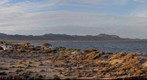 Bahia De Los Angles