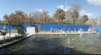Haft-Sin Table in Qeytariyeh Park