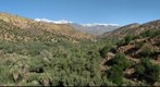 High Atlas from Taroudant (II)