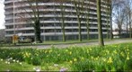 Delft - Voorhofdreef