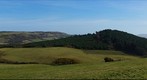 Panorama across Grammar's Common to Brighstone Forest, Brighstone Down & St Catherine's Hill
