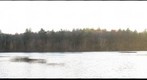 Walden Pond