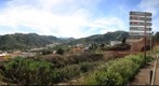 Un Domingo en Teror. Isla de Gran canaria