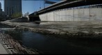 Guadalupe River 