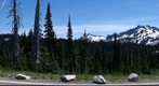 Mt. Rainier Visitor Center