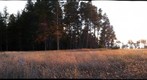 Mom's property, Mendocino, California (i6)