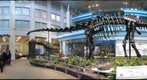 PghTrib.com Dinosaurs In Their Time 3