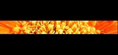 19575-400x189
