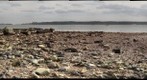 Low tide, Poole Harbour