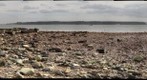 Rocky Shore