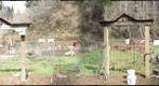 Dolph Junction Oregon
