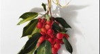 Cherries