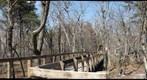 Cheaha State Park