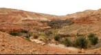 Berber village close to Telouet (III)