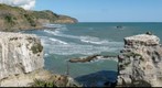 Muriwai Gannet Colony V2