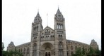 Natural History Museum, London (Museo de Historia Natural de Londres)