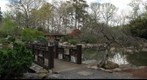 Birmingham Botanical Garden