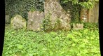 All Soul's Hursley Churchyard detail (a3)