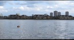 chelsea harbour looking towards battersea bridge