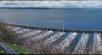 Shilshole Marina 