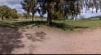 Campomanes