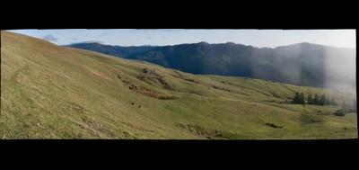 20079-400x189