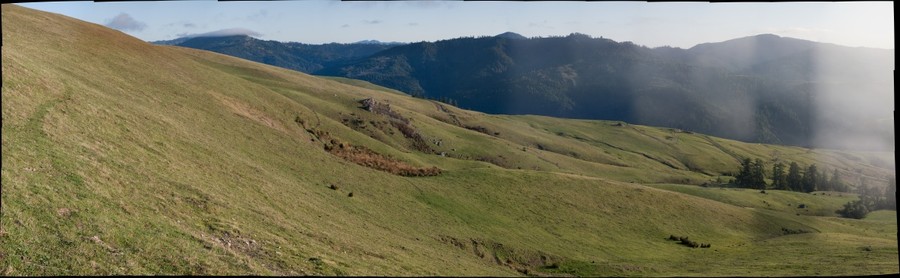 20079-900x278
