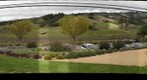 Navarro Vineyards