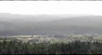 Navarro Vineyards View