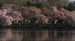 Washington DC Tidal Basin