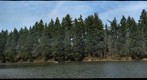 Lacamas Lake #2