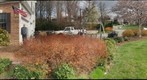 My Front Yard