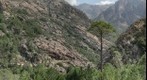 Corsica for Ever