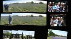 Central Texas: BlueBonnets &amp; BlueBells 