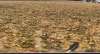 Rocky Beach at Calshot, UK (p5a)