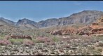 Virgin River Recreation Area, Northwest Arizona