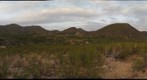 Rancho Los Pavos - Northern Jaguar Reserve