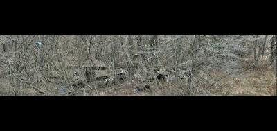 20723-400x189