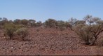 Panorama WA.jpg