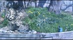 April Shower