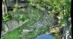 Waller Creek Austin
