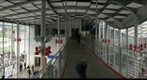 California Academy of Sciences Yuri's Night 2009 30x4