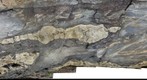 Peperite