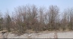 On the road to the Chernobyl power plant
